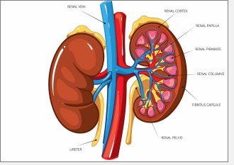 kidney problems